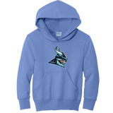 Lab Vikings Youth Core Fleece Pullover Hooded Sweatshirt