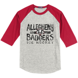 Scary Badgers Youth Colorblock Raglan Jersey