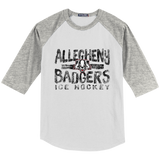 Scary Badgers Youth Colorblock Raglan Jersey